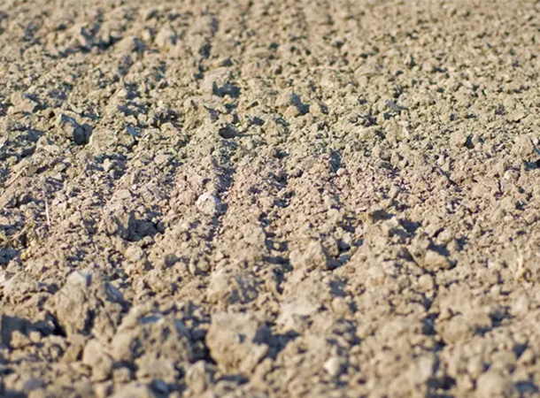  How to Distinguish Acidic Soil And Alkaline Soil